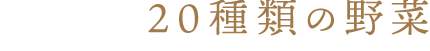 20種類の野菜