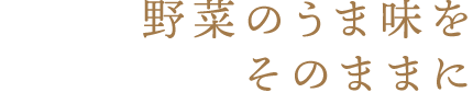 野菜のうま味をそのままに