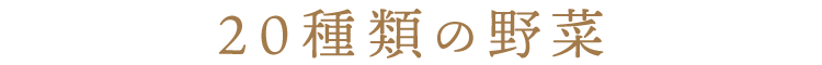 20種類の野菜