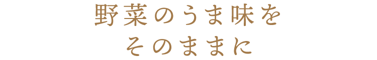 野菜のうま味をそのままに